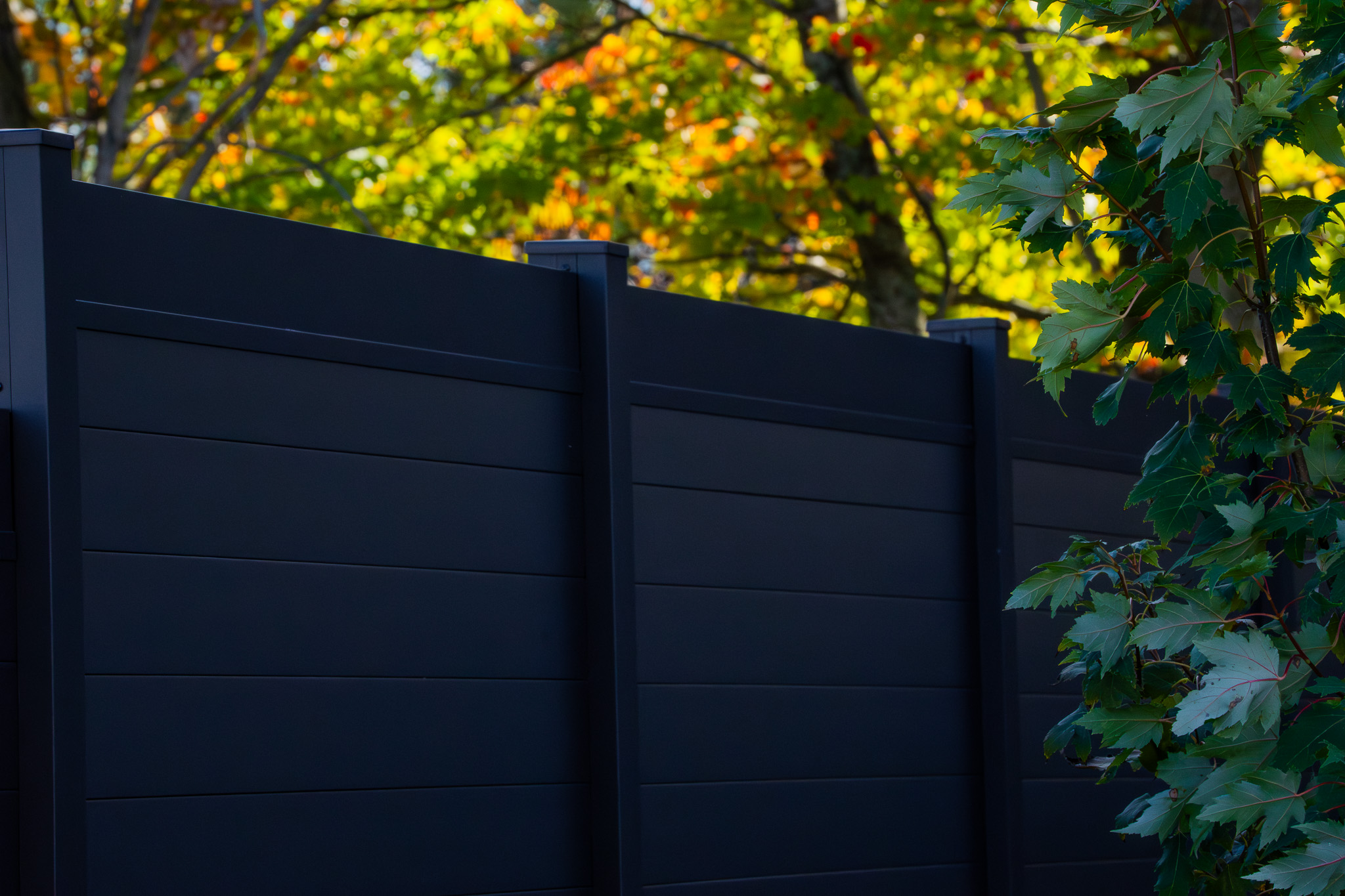 Close-up of sleek black aluminum privacy fence with green foliage and fall-coloured trees behind it.
