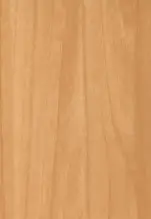 Yellow walnut wood grain